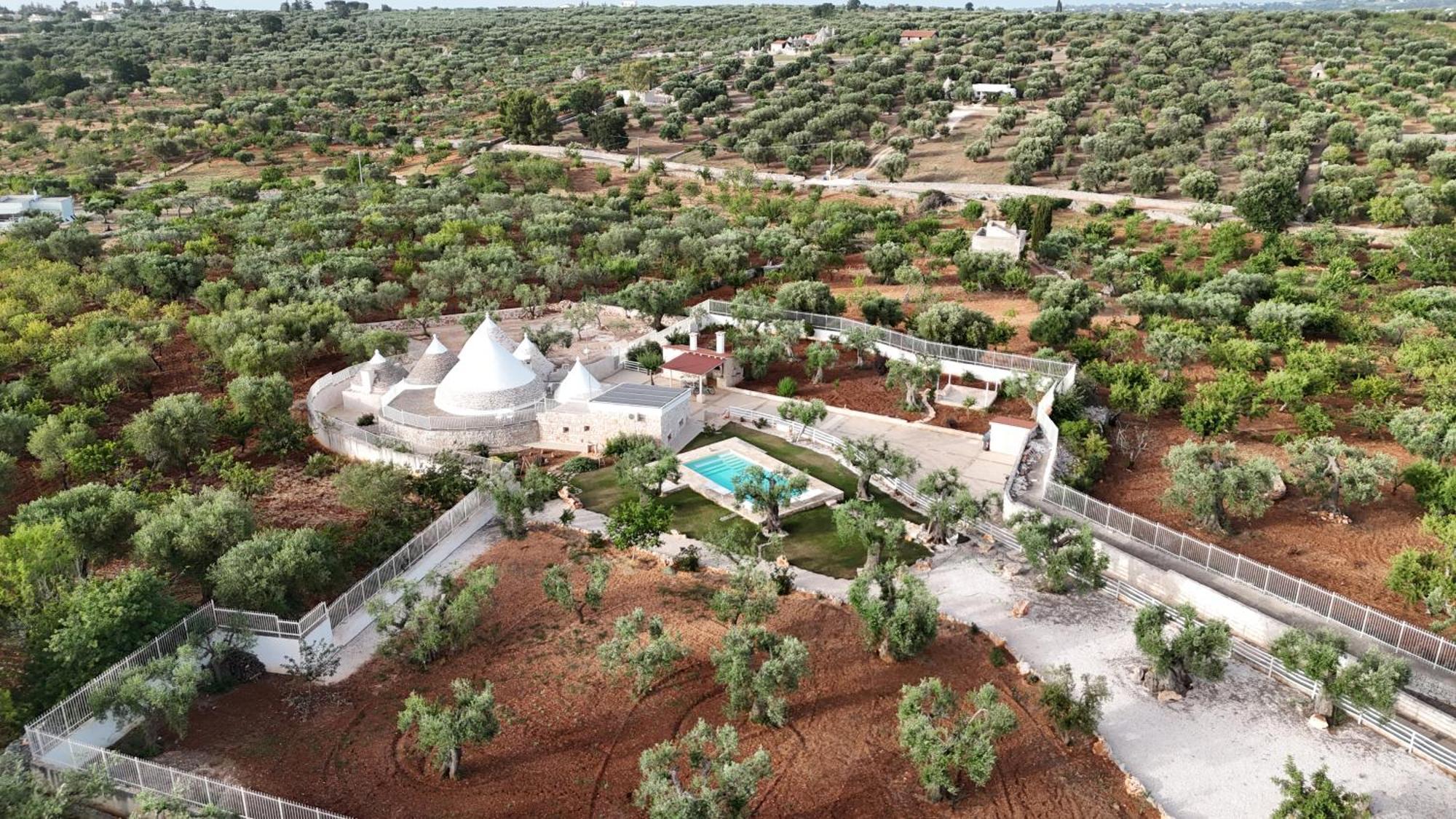 Trulli Lisanna - Apulian Hideaway With Pool Διαμέρισμα Antonelli Εξωτερικό φωτογραφία